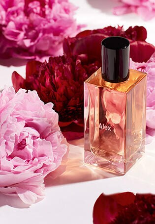 navigation visual asset banner