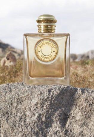 navigation visual asset banner