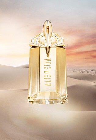 navigation visual asset banner