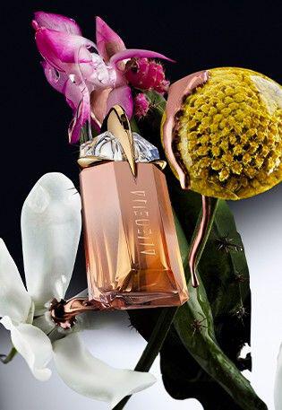 navigation visual asset banner