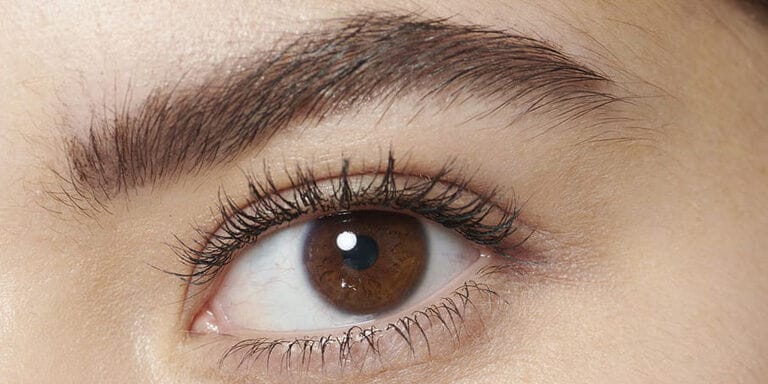 forme des sourcils