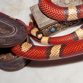 The Alchemist's Garden The Voice of the Snake - Eau de Parfum