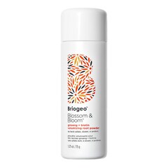 Blossom & Bloom Ginseng + Biotin - Poudre volumisante pour les racines, BRIOGEO