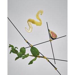 Basilic, Feuilles De Figuier, Menthe - Bougie parfumée
