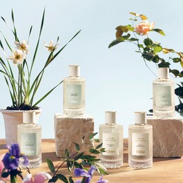 Atelier des Fleurs Cedrus - Eau de Parfum