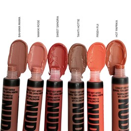 Magnetic Lip Plush Paint - Gel Teinté pour les lèvres