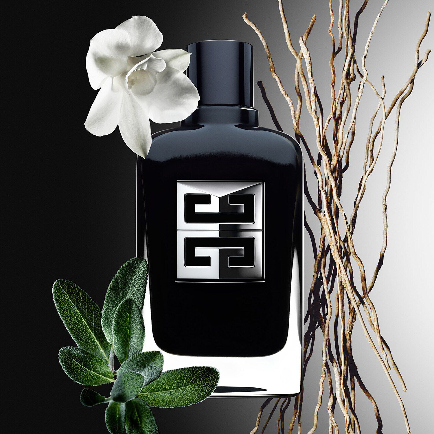 Givenchy for homme sales