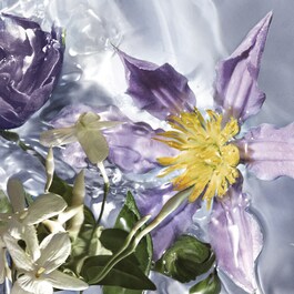 Aqua Allegoria - Flora Salvaggia - Eau De Toilette