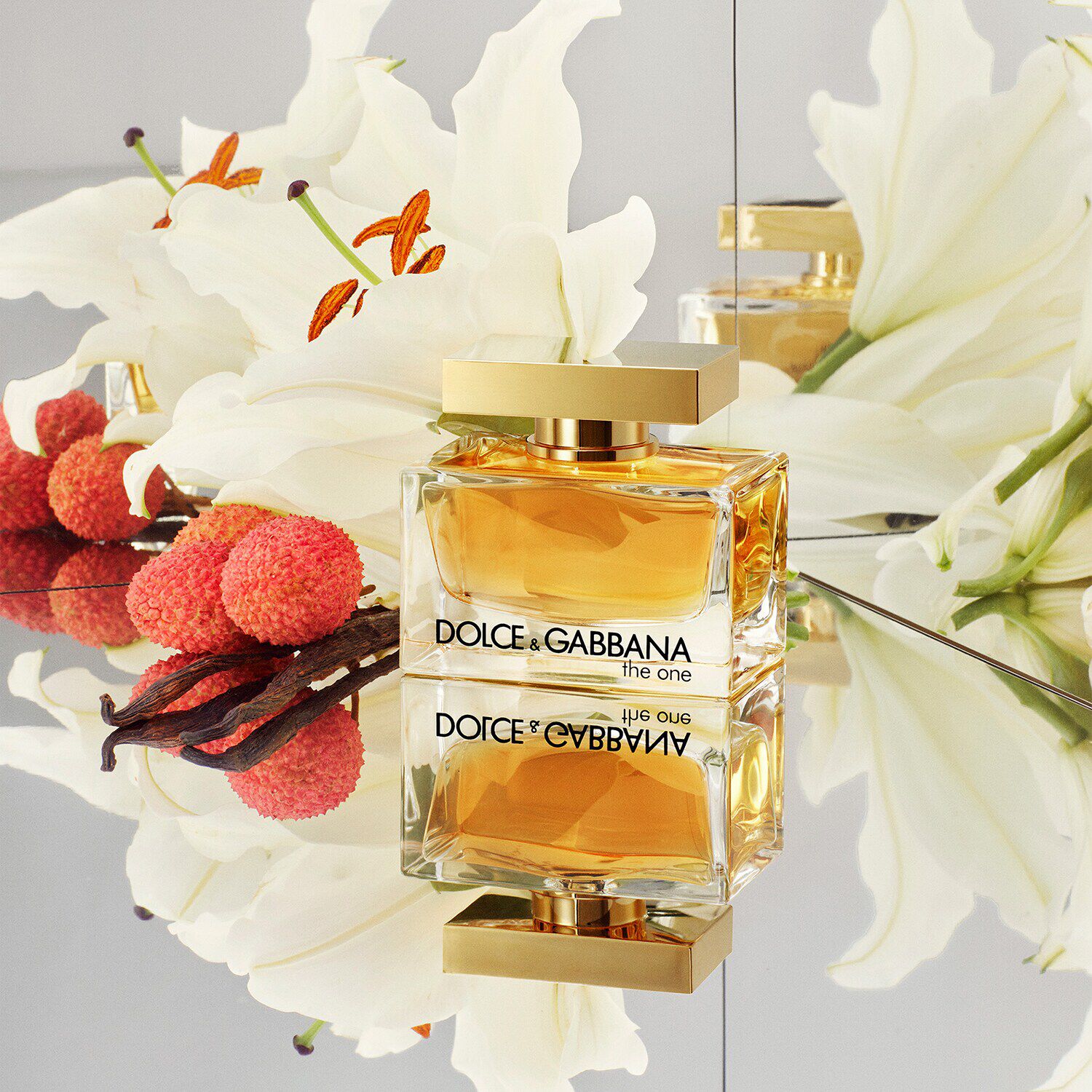 The one shop dolce gabbana femme