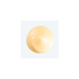 Après-shampoing à la Mangue - Nutrition pour Cheveux secs 