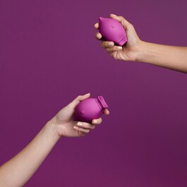 The Poet— Sextoy clitoridien à bouches interchangeables