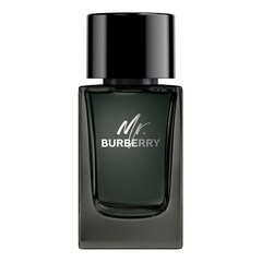 Mr. Burberry - Eau de Parfum, BURBERRY