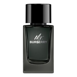 Mr. Burberry - Eau de Parfum