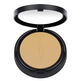 Fond De Teint Perfection Compact Matifiant - Fond De Teint Poudre Fini Mat