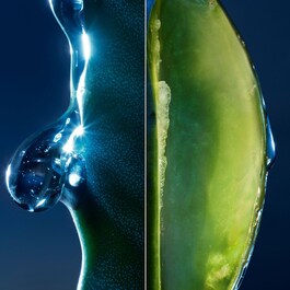 Sauvage Le Nettoyant - Nettoyant visage pour homme - Charbon noir et cactus