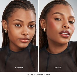 Ambient Lighting Edit Unlocked - Palette visage