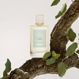 Atelier des Fleurs  Chêne -  Eau de Parfum