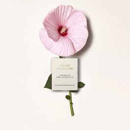 Atelier des Fleurs Hibiscus Abelmoschus - Eau de Parfum