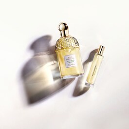 Aqua Allegoria Bergamote Calabria - Eau de Toilette