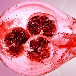 Nutritious Super Pomegranate - Émulsion Légère Énergisante