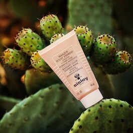 Masque Eclat Express à l'Argile Rouge - Formule Intensive