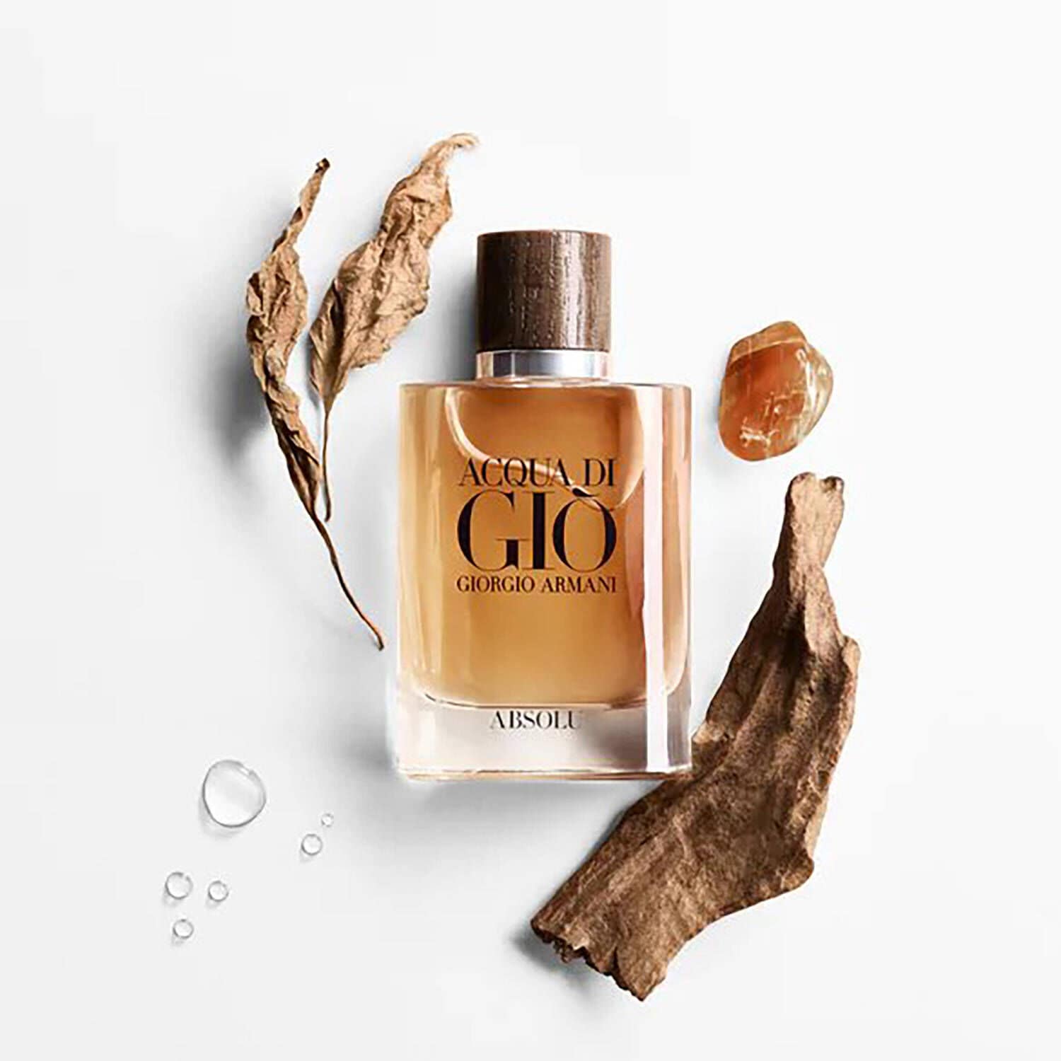 Giorgio armani acqua di best sale gio absolu eau de parfum