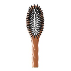 La Petite Brosse N°1 L'universelle – En poils de Sanglier - Brosse de soin, LA BONNE BROSSE
