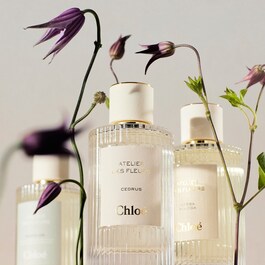Atelier des Fleurs Cedrus - Eau de Parfum