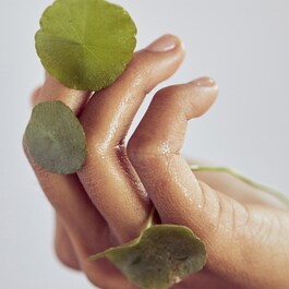Centella Cleansing Oil - Huile démaquillante à la Centella Asiatica apaisante