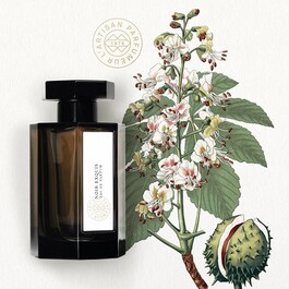 Noir Exquis - Eau De Parfum