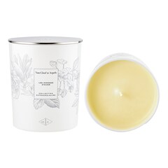 Collection Extraordinaire - Bougie Les Mimosas d'Hiver, VAN CLEEF AND ARPELS