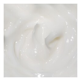 THE TRUE CREAM MOISTURIZING BOMB - Crème hydratante visage
