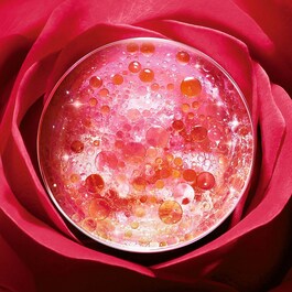 Absolue - Crème Riche Régénérante Illuminatrice aux Grands Extraits de Rose