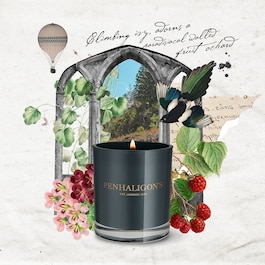 Roanoke Ivy - Bougie