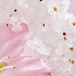 The Ritual of Sakura - Gommage pour le corps