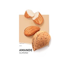 Amande - Eau de Parfum
