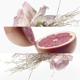 Concentré de pamplemousse rose - Eau de Toilette