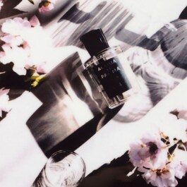 Signatures of the Sun - Sakura - Eau de Parfum