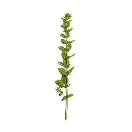 Aciana botanica - Eau micellaire certifiée bio vegan démaquillante douceur