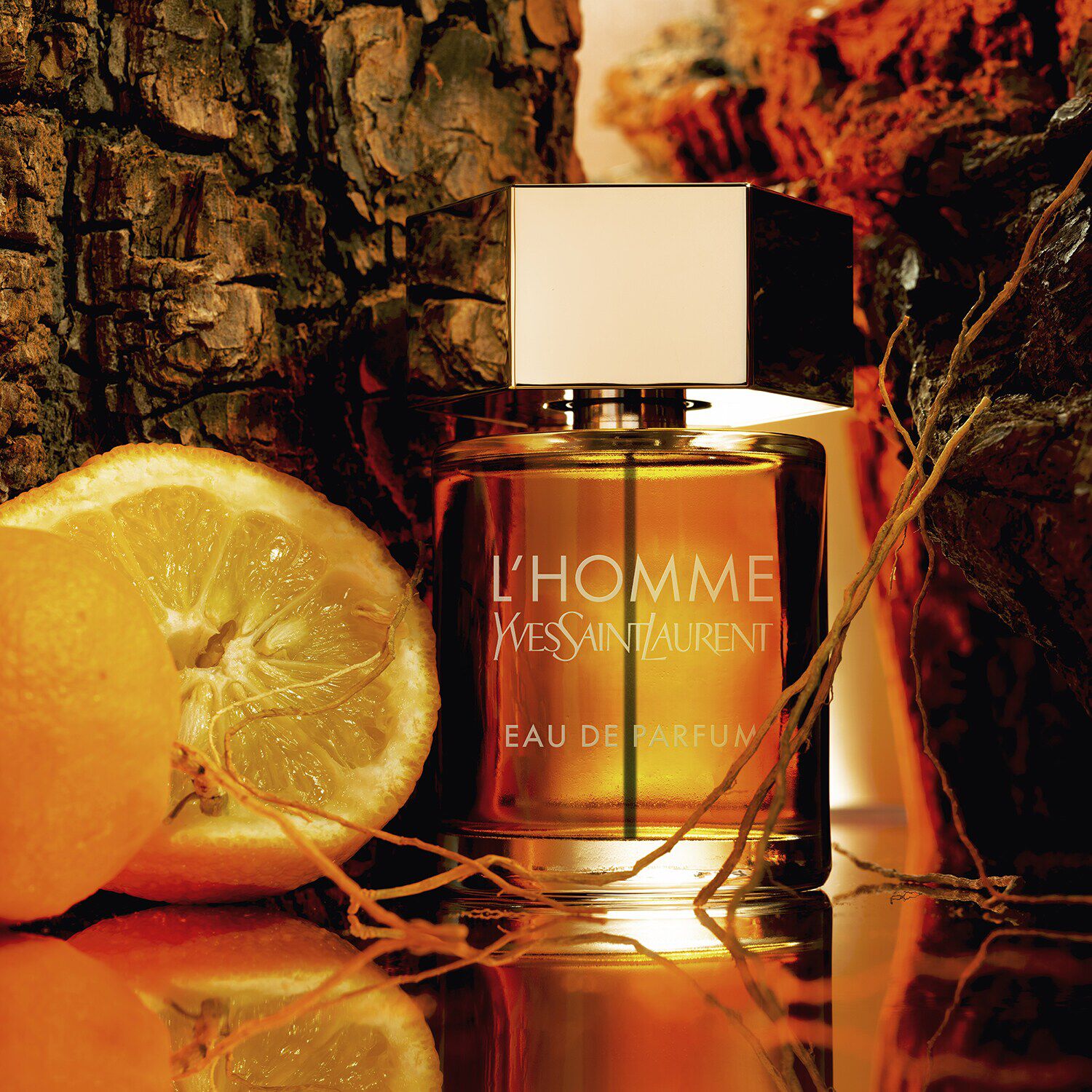 L Homme Eau de Parfum de YVES SAINT LAURENT SEPHORA