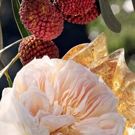 Chloé - Lait parfumé pour le corps