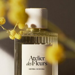 Atelier des Fleurs Herba Mimosa - Eau de Parfum