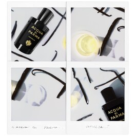 Signatures of the Sun Vaniglia - Eau de Parfum Orientale aux Agrumes
