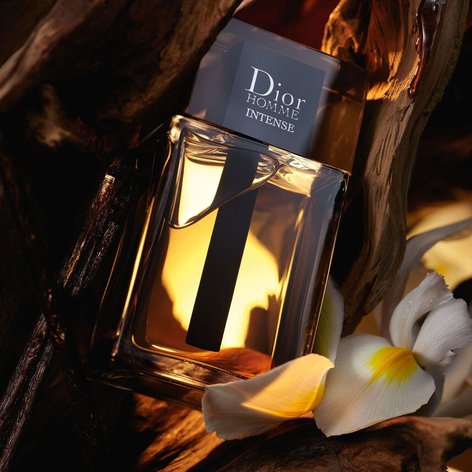 Dior homme sales intense edp 50ml