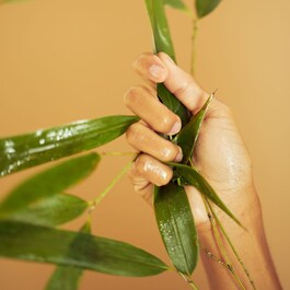 Bamboo Matte Lotion - Lotion effet poudrée