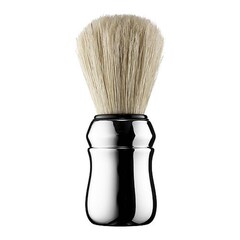 Shaving Brush - Blaireau , PRORASO