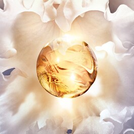 Orchidée Impériale - La Crème Riche - La Recharge