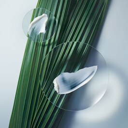 Botanical Repair™ - Masque Réparation Intense Cheveux Normaux A Epais