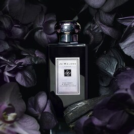 Dark Amber & Ginger Lily - Cologne Intense