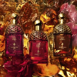 Absolus Allegoria - Oud Essentiel - Eau de Parfum